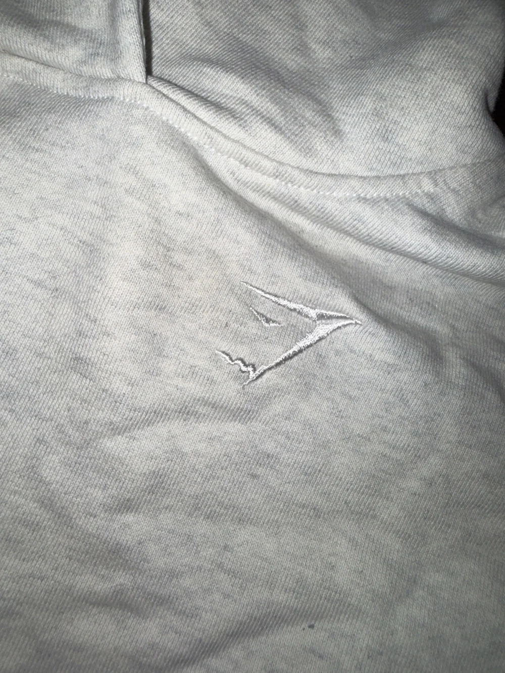 Gymshark this hoodie